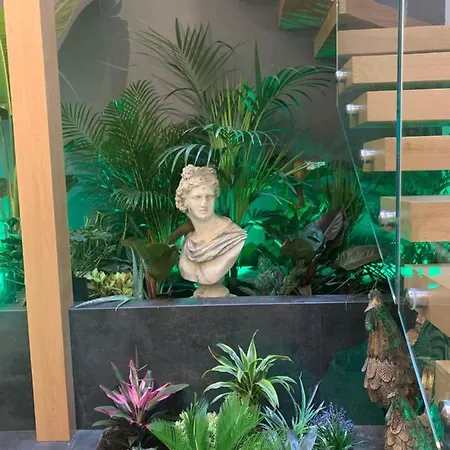 San Fernando 24 قرطبة