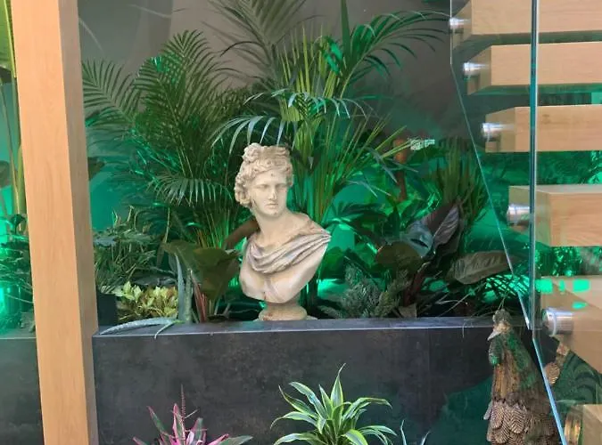 San Fernando 24 קורדובה